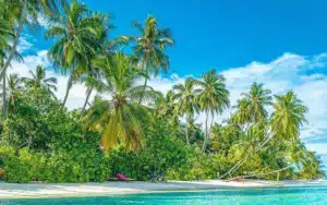 koh phangan boat charter