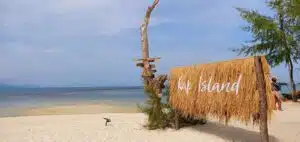 35066fbc dde1 407a 94a5 cc2a62514354