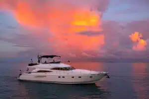 60de66fb f0b9 42e9 997c 50fbad9bd042 1