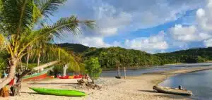 9596695e f3a8 4887 a47d 09c9f8f76800 1