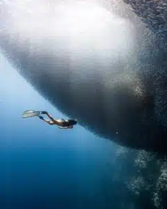 Koh Tao Scuba Diving Boat Tours