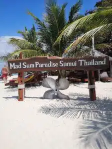 Koh Mad Sum island known as pig island