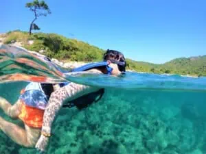 snorkeling koh tao
