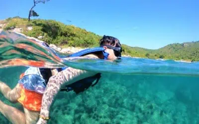 Scuba Diving and Snorkeling