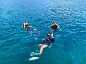 scuba diving koh samui