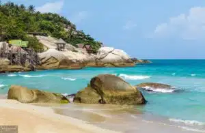 130245476 10158799019778749 6728794593944871384 n