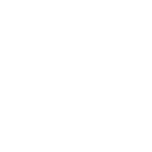 image shows inverse (white) version of samui luxury boats logo