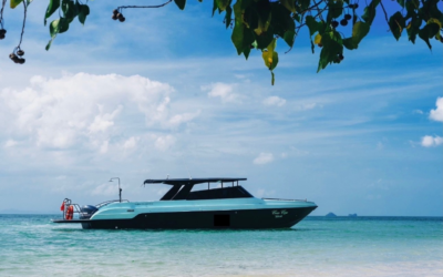 VIP Speedboat 45ft 500hp