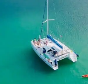 Sailing Catamaran 36