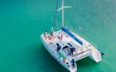 Sailing Motor Catamaran 36