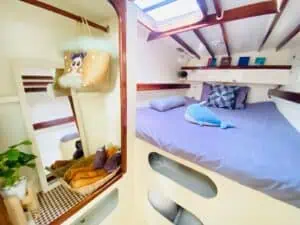 Sailing Catamaran 36