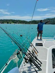 Sailing Catamaran 36